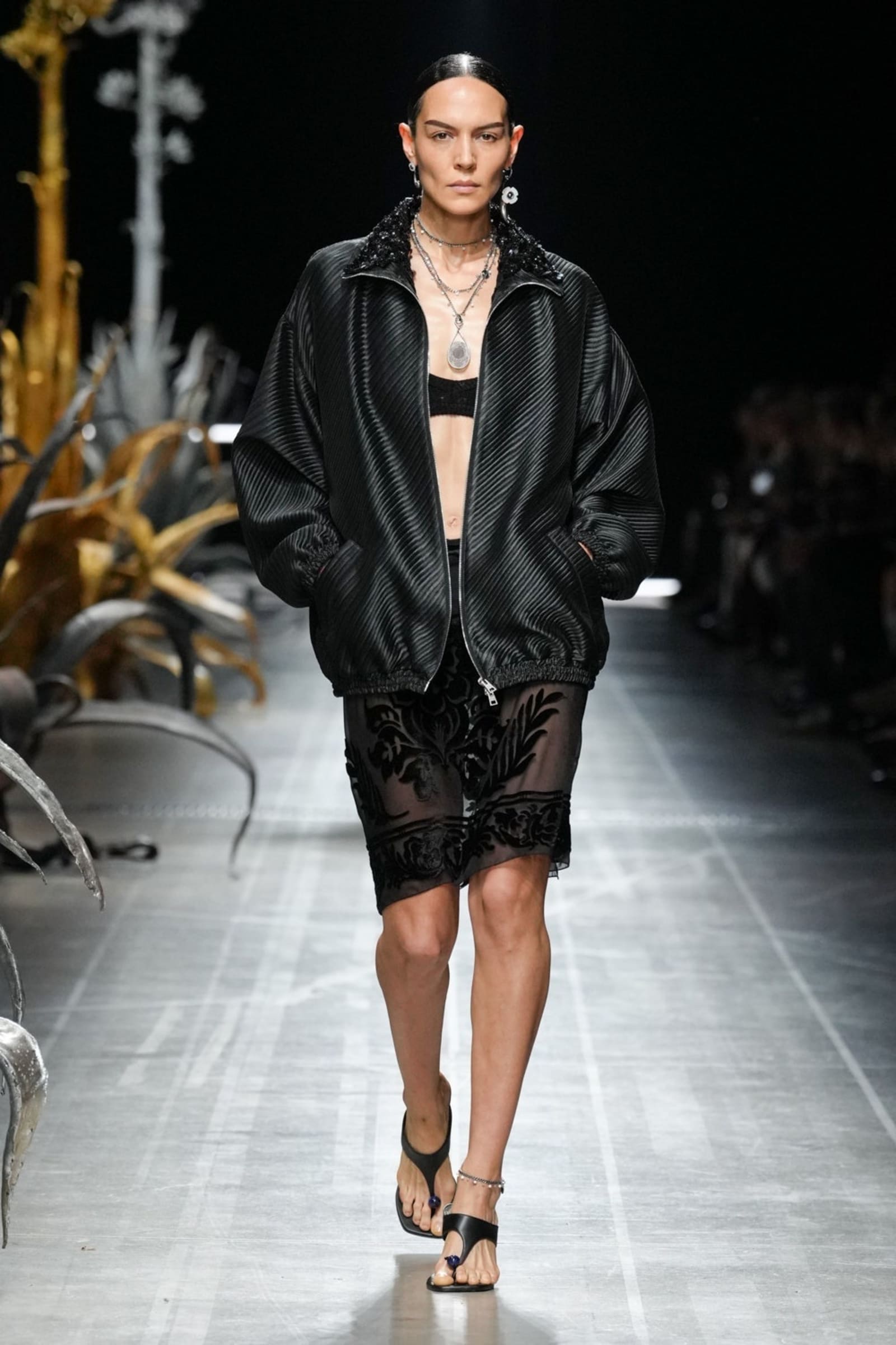 img-1531-1742418353463-cq16f7yas3