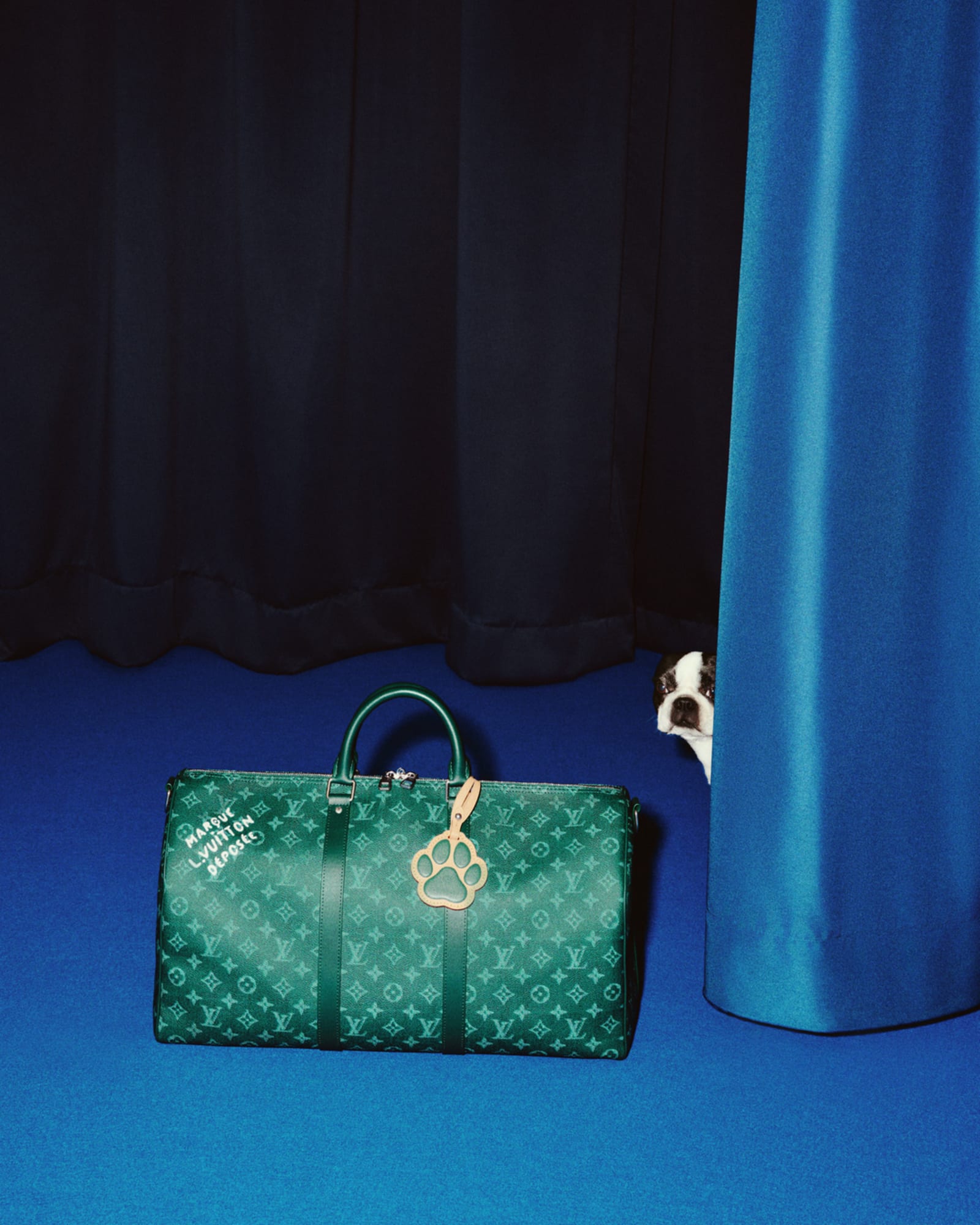 img-3147-1742418155150-92ushhvt3tp