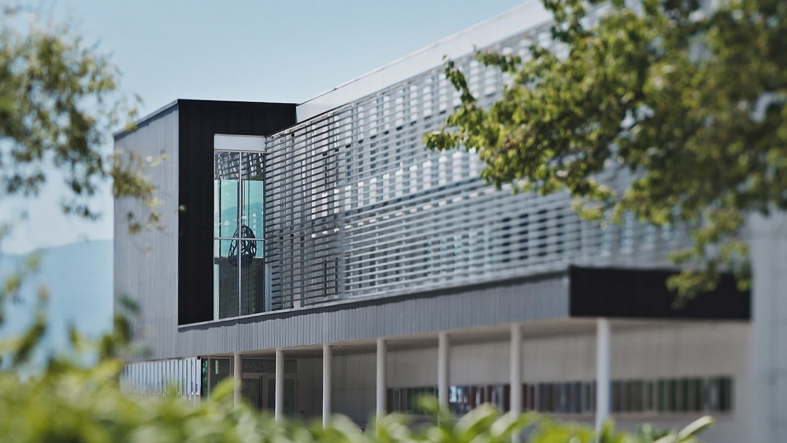 img-3941-1600x900-1742417966736-dxx1vn92ubu