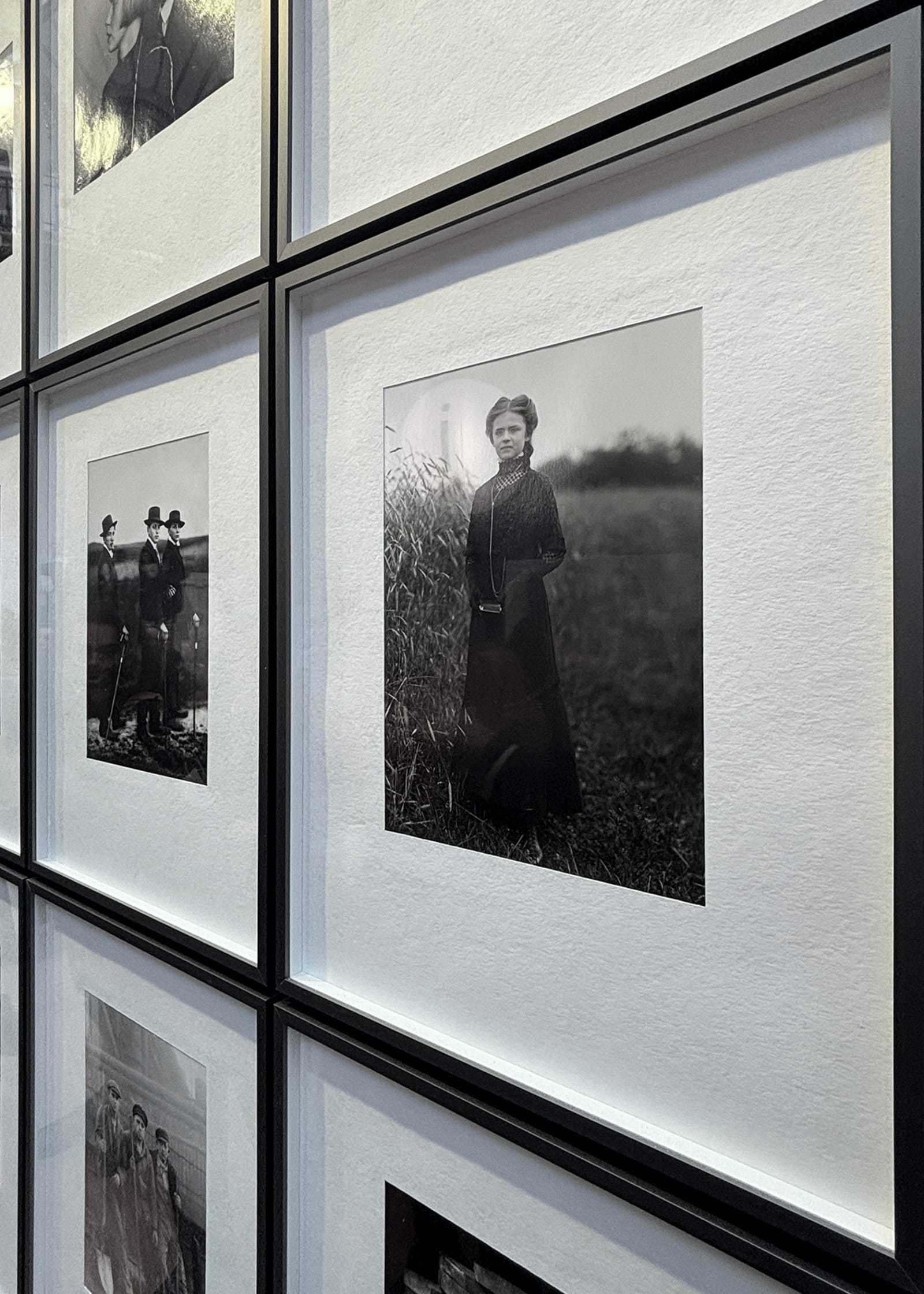 img-4450-1742417936137-efmdlx405qe