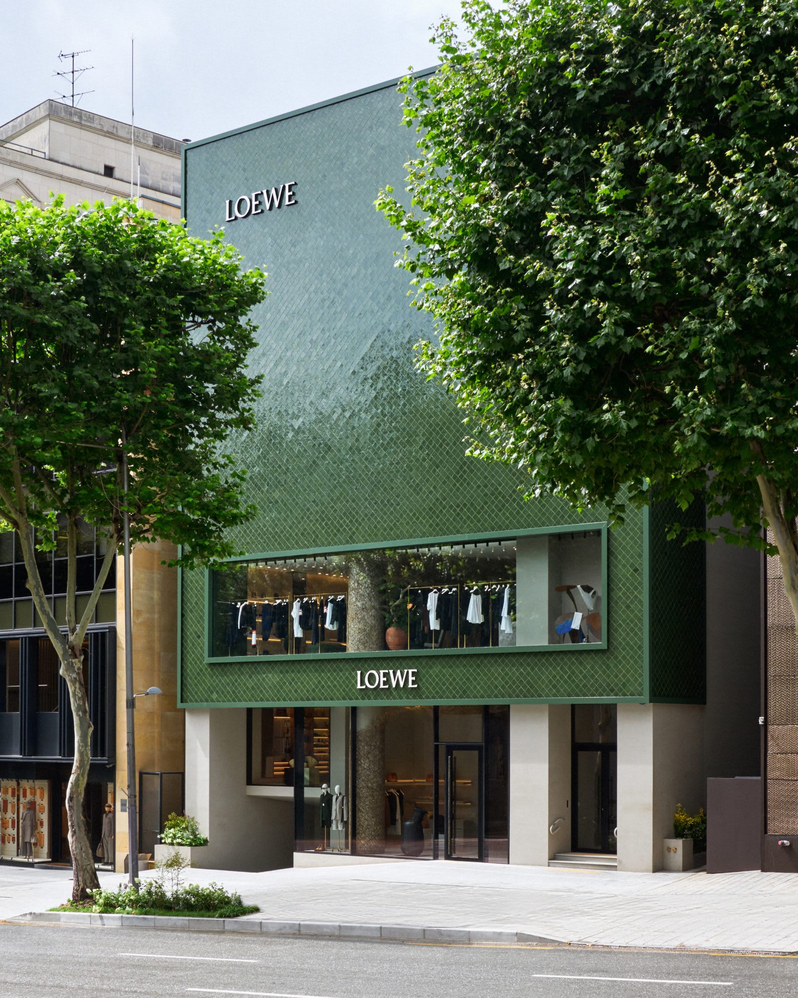 img-6015-1600x2000-1742419224592-akcdsrdy36