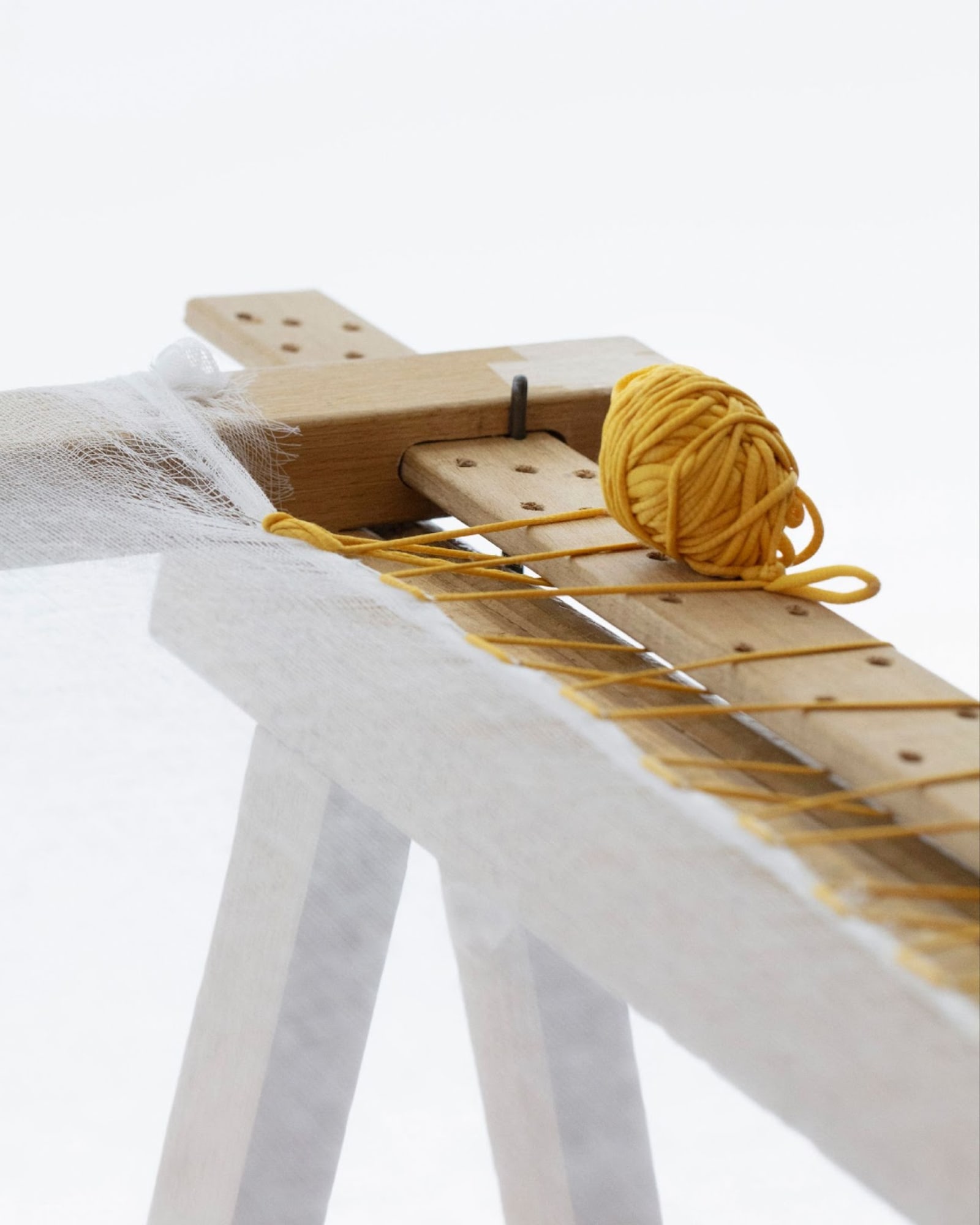 img-6782-1742416713306-pwwqaljjsbm