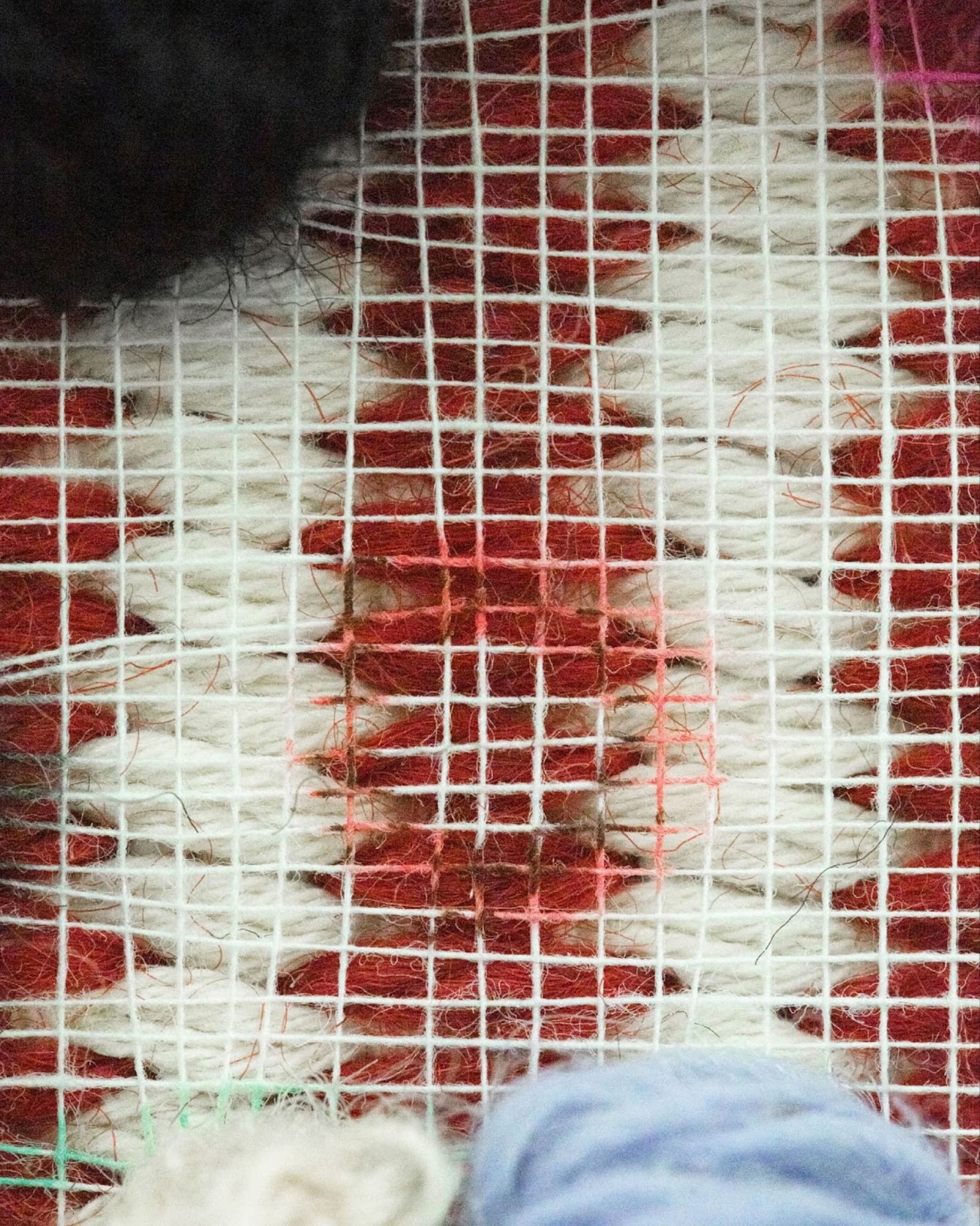 img-6783-1742416713604-33k589yksoc