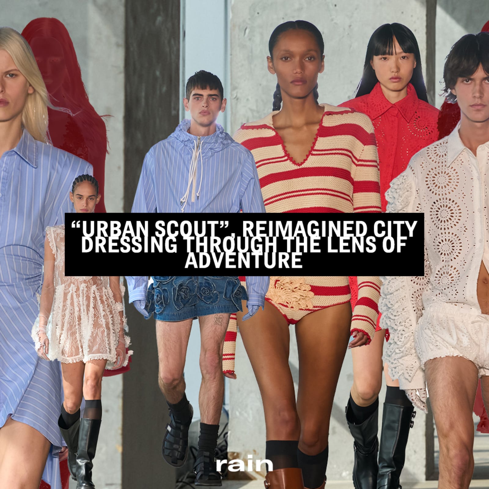 img-8668-1742418827878-34sxebi04mg