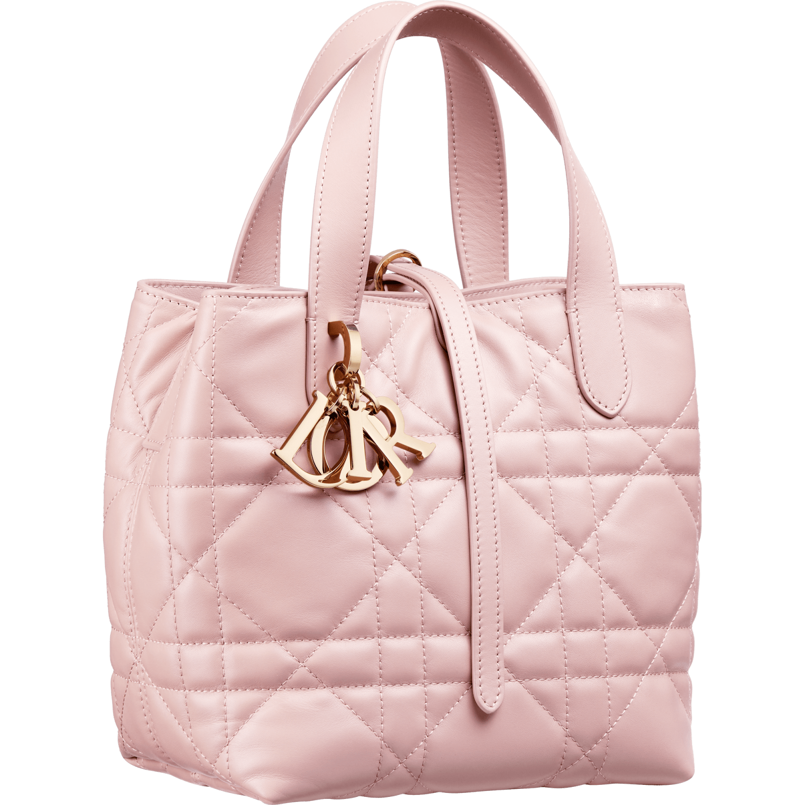 Dior Small Toujours bag Dior powder pink