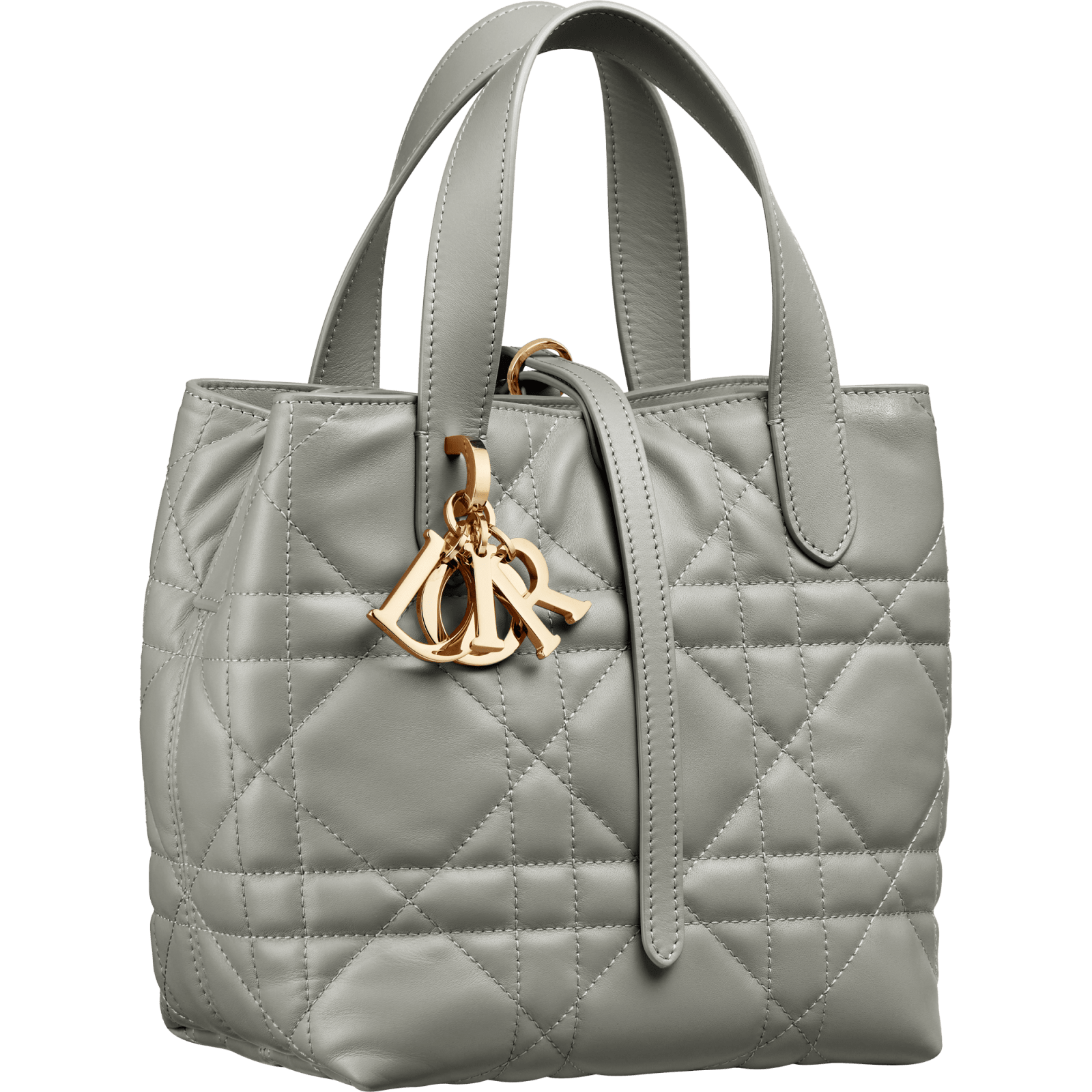 Dior Small Toujours bag Dior grey stone