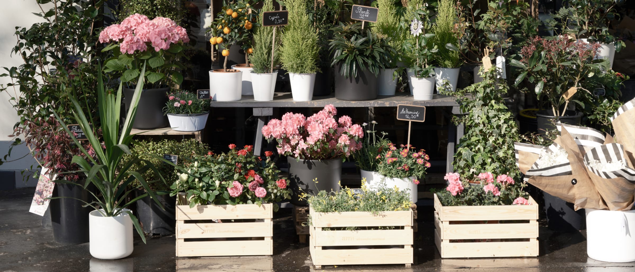 AMI in Le Marais: Where Fashion Meets Community