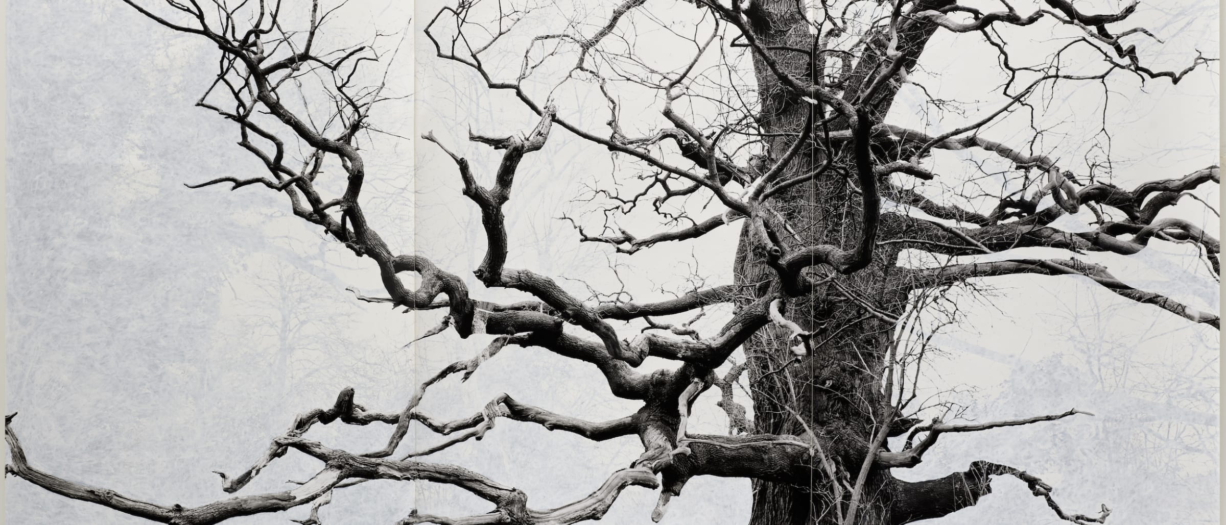 The Menil Collection Presents ‘Tacita Dean: Blind Folly’ – A Visionary Exhibition Bridging Analogue Art and Modern Reflection