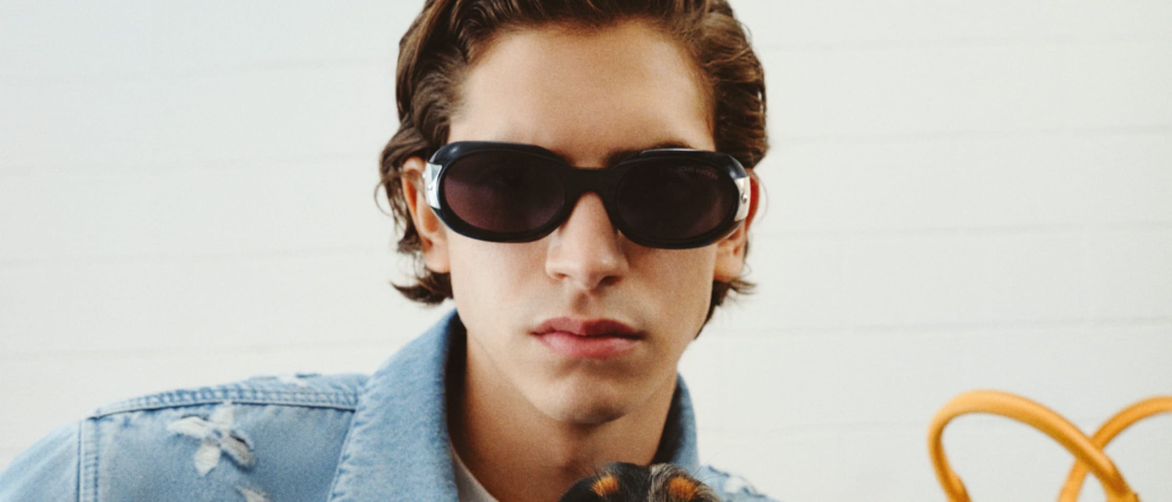 Louis Vuittonโs Dog LV๐๐๐๐ Spring 2025 Pre-Collection Takes Best in Show