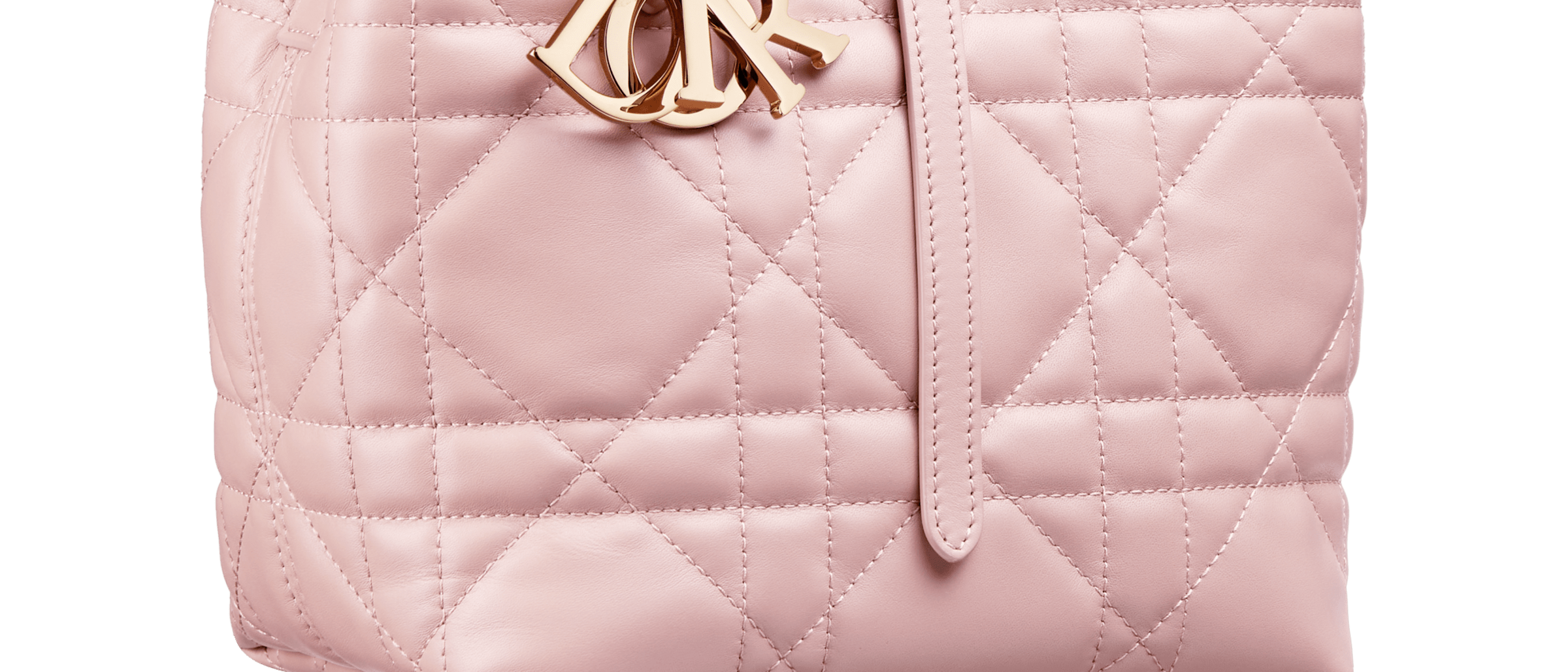 Dior Unveils The Vertical Toujours Bag for 2025