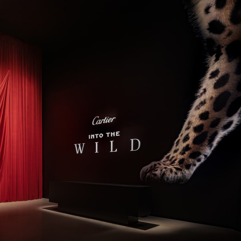 Cartier Presents 'Into the Wild' in Miami's Design District