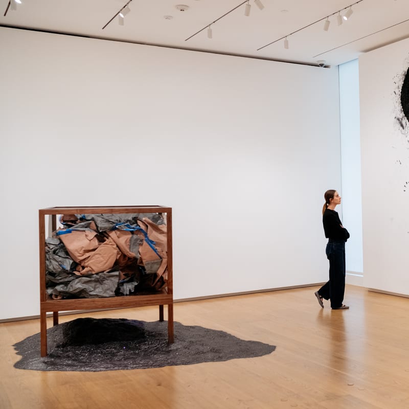 'What Drawing Can Be: Four Responses' Opens at the Menil Drawing Institute