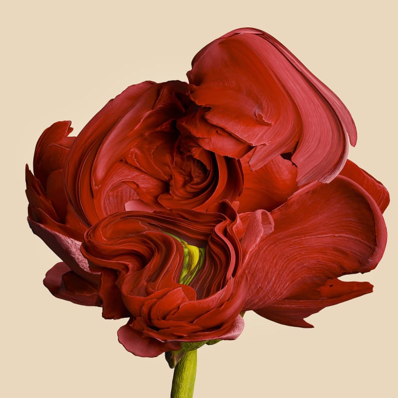 Saint Laurent Rive Droit Paris Presents 'Flora Incognita' by Vincent Fournier