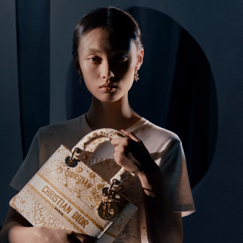 Dior Lunar New Year 2025 Collection Celebrates Celestial Snake
