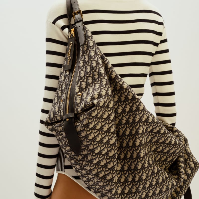 Dior D-Journey Bag Makes Elegant Debut for Spring 2025