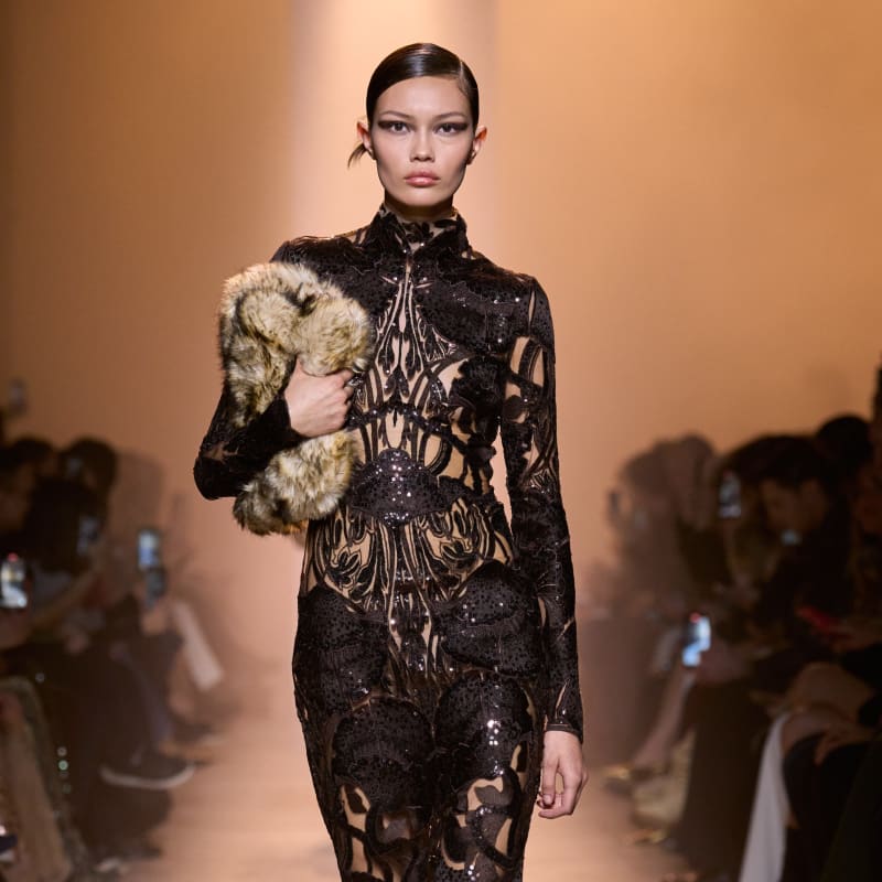 Elie Saab FW25: In the Alpenglow