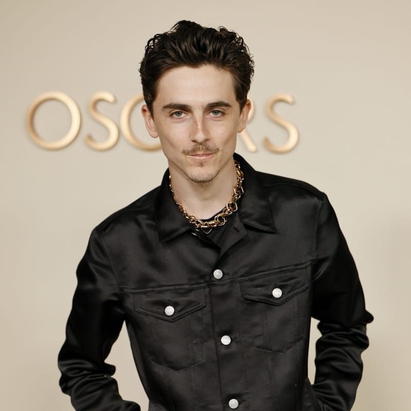 How to Get Timothée Chalamet’s Custom GapStudio Satin Look