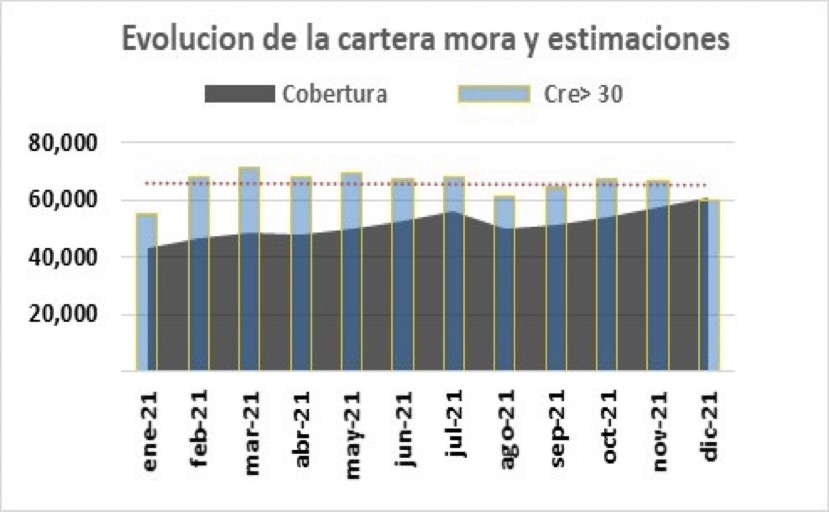 Gráfico evolución de la cartera mora y estimaciones