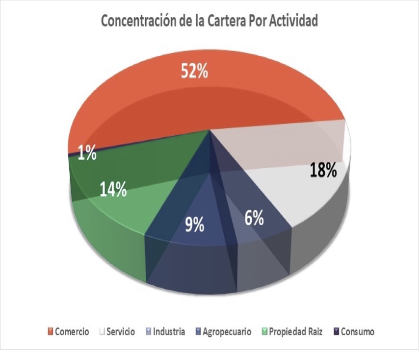 Concentracion de la cartera por actividad