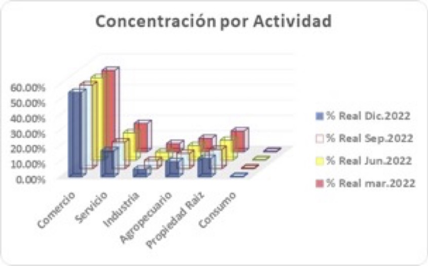 Grafico concentración por actividad 2022