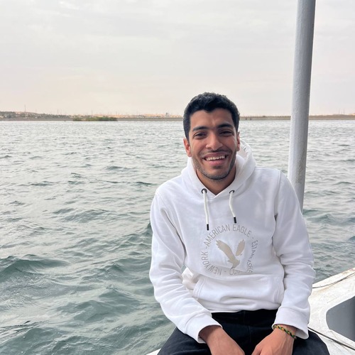 mohammed Elsawaf
