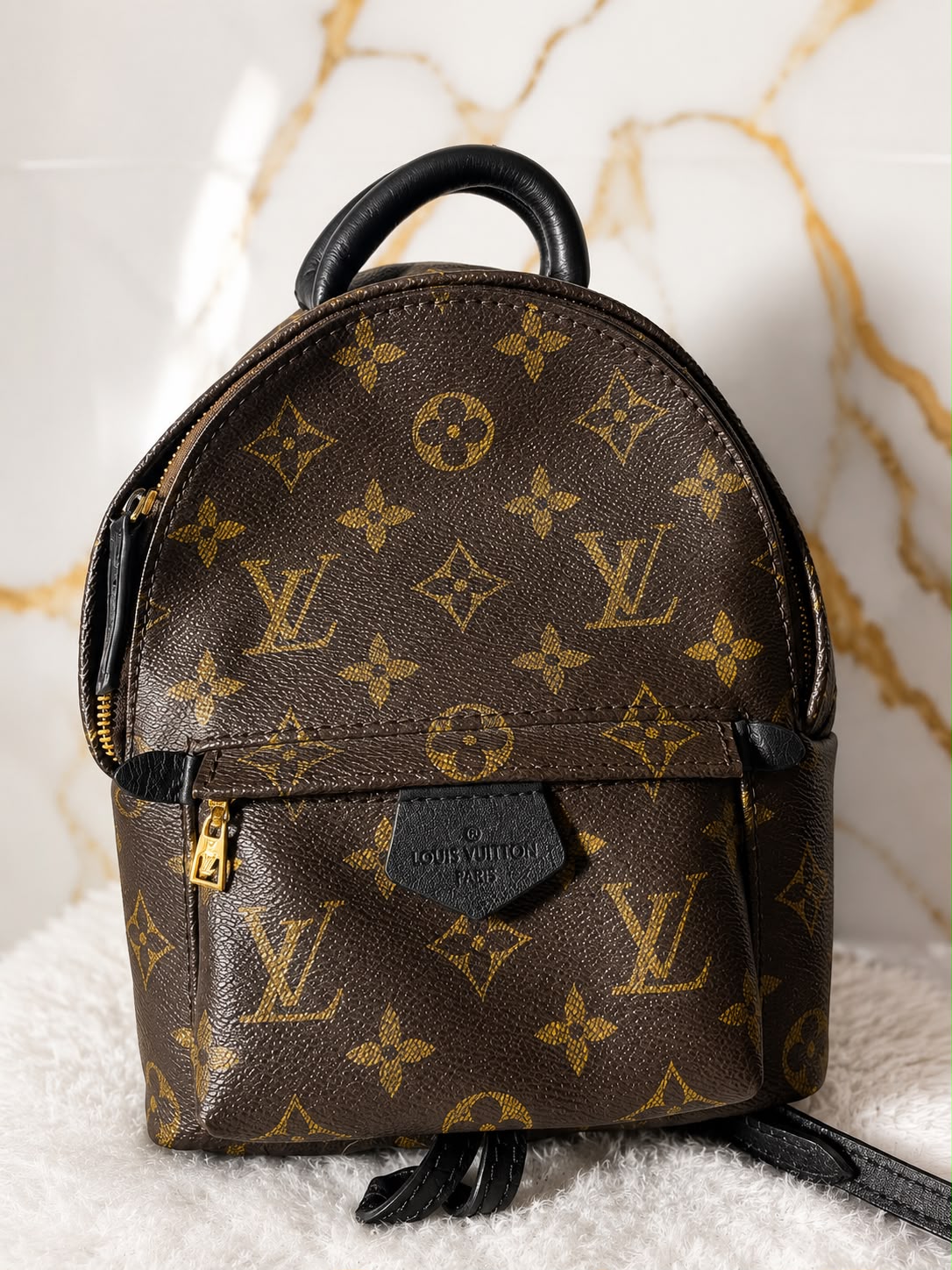 Louis Vuitton Palm Springs Backpack Mini (Monogram Canvas)