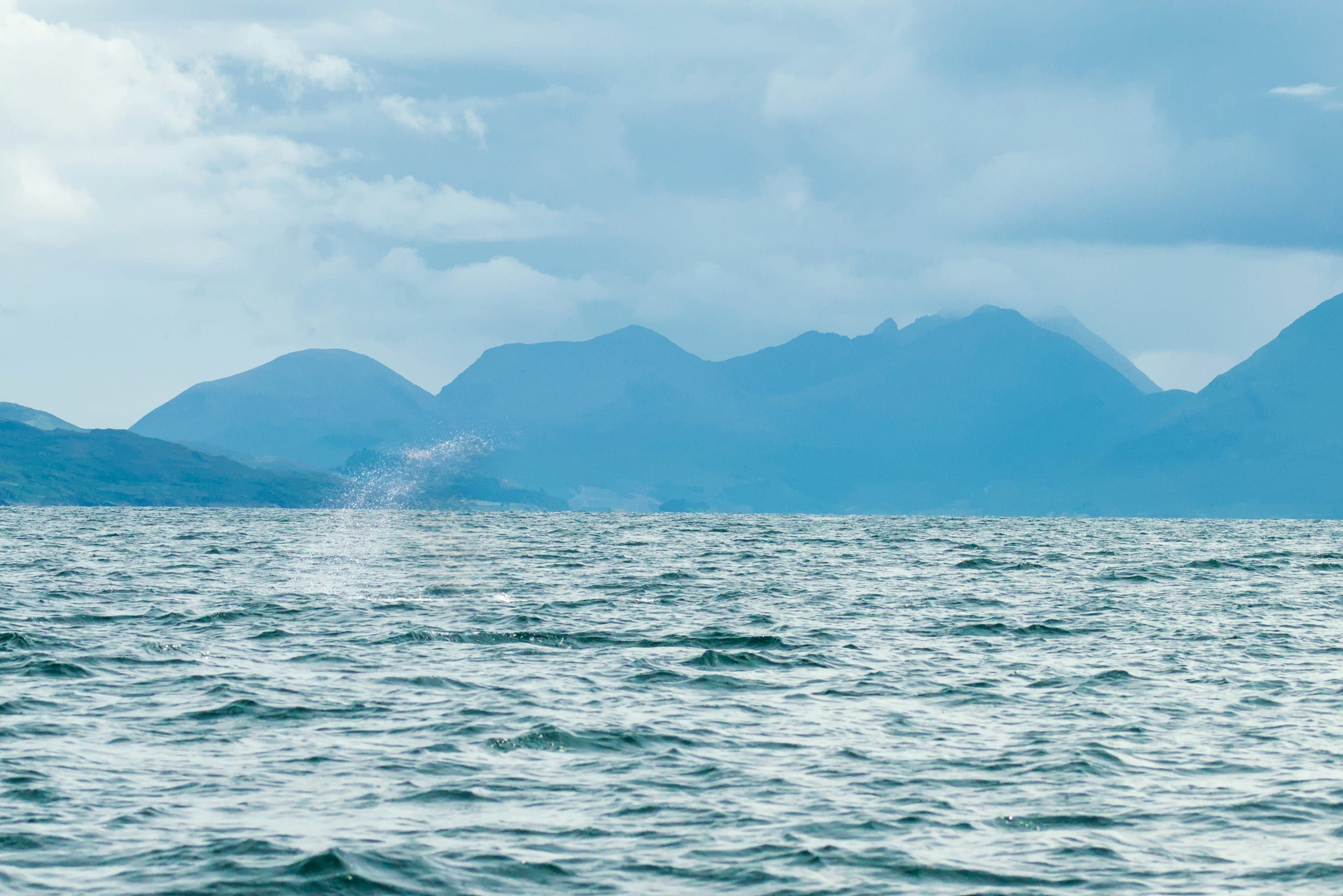 ocean