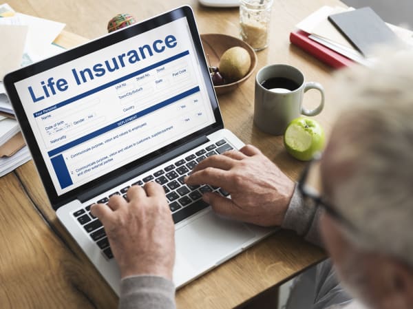 Life insurance policy terms and use concept