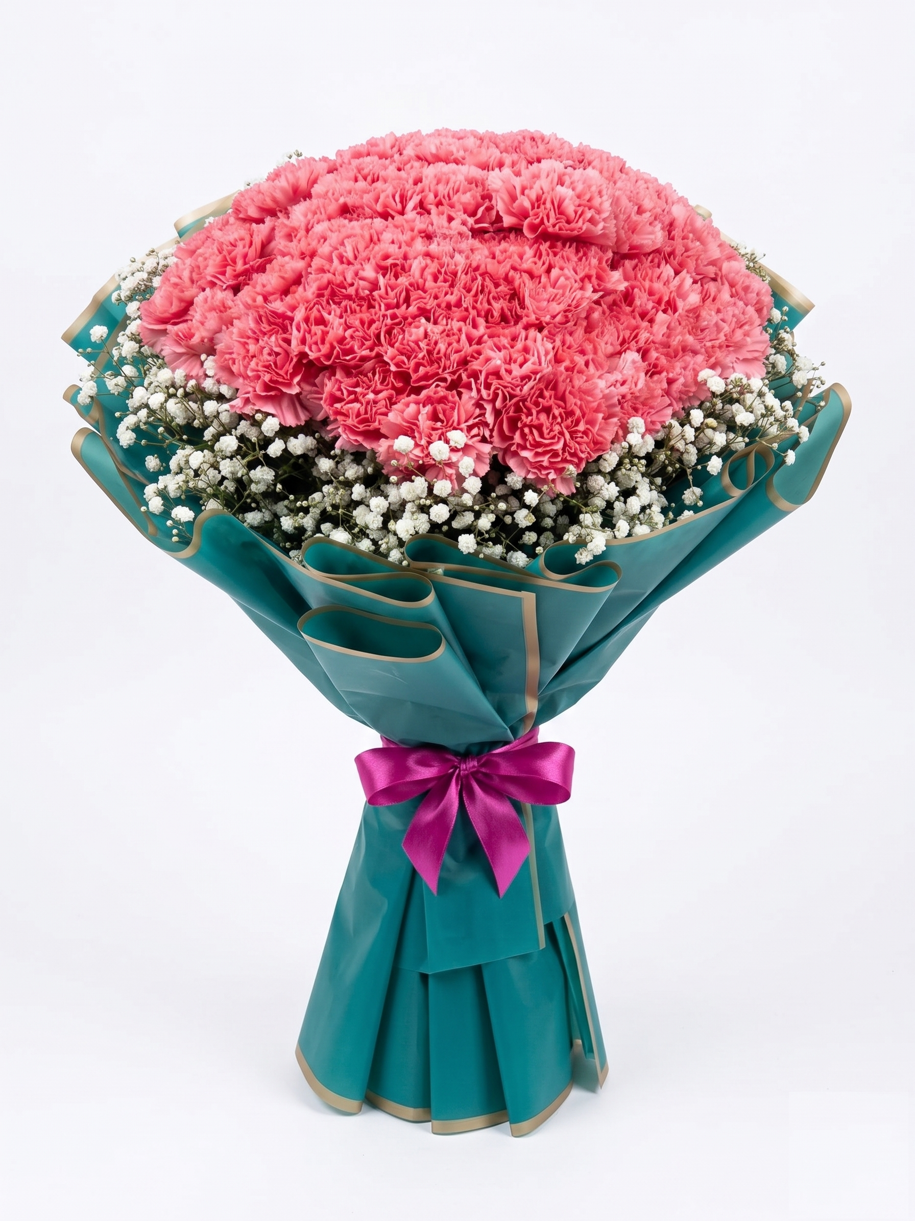 Blush Carnation