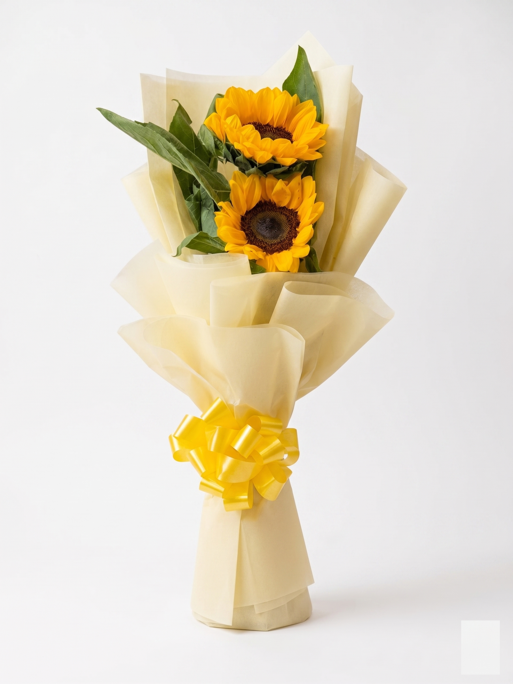 Sunny Duo Bouquet — Fresh Bouquet Delivery Ghaziabad Rose n Petals