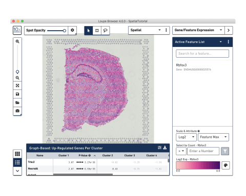 Analysis and Visualization Software Analysis and Visualization Software
