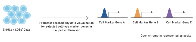 Annotation using cell type-specific cis-regulatory elements. CREDIT: 10x Genomics, CG000234 Cell Type Annotation Strategies for Single Cell ATAC-Seq Data.