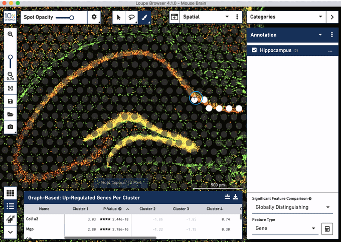 Learn how to select countless ROIs of any modality without in silico (all ROIs are already in the data).