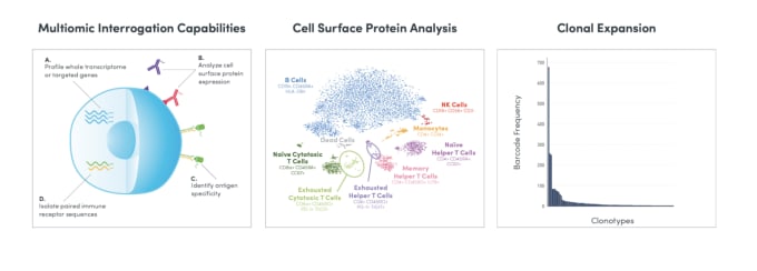 Janeway Capabilities Leverage the power of DNA barcoding, single cell microfluidics, and next-generation sequencing to simultaneously profile a combination of cell surface markers, mRNA, full-length TCR/BCR sequences, and antigen specificity, all from the same single immune cells, at scale.