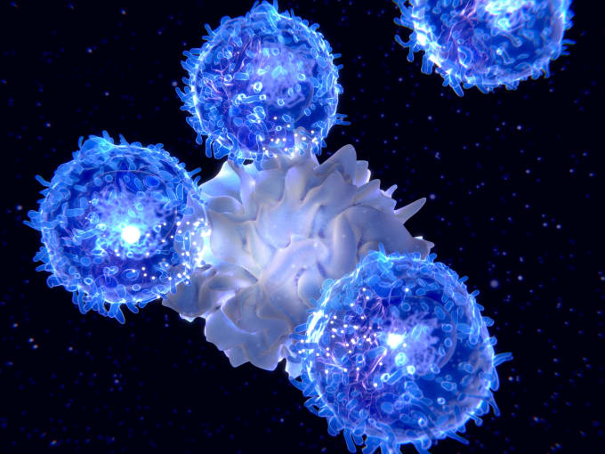 Illustration of a dendritic cell (centre) presenting an antigen to T-lymphocytes.