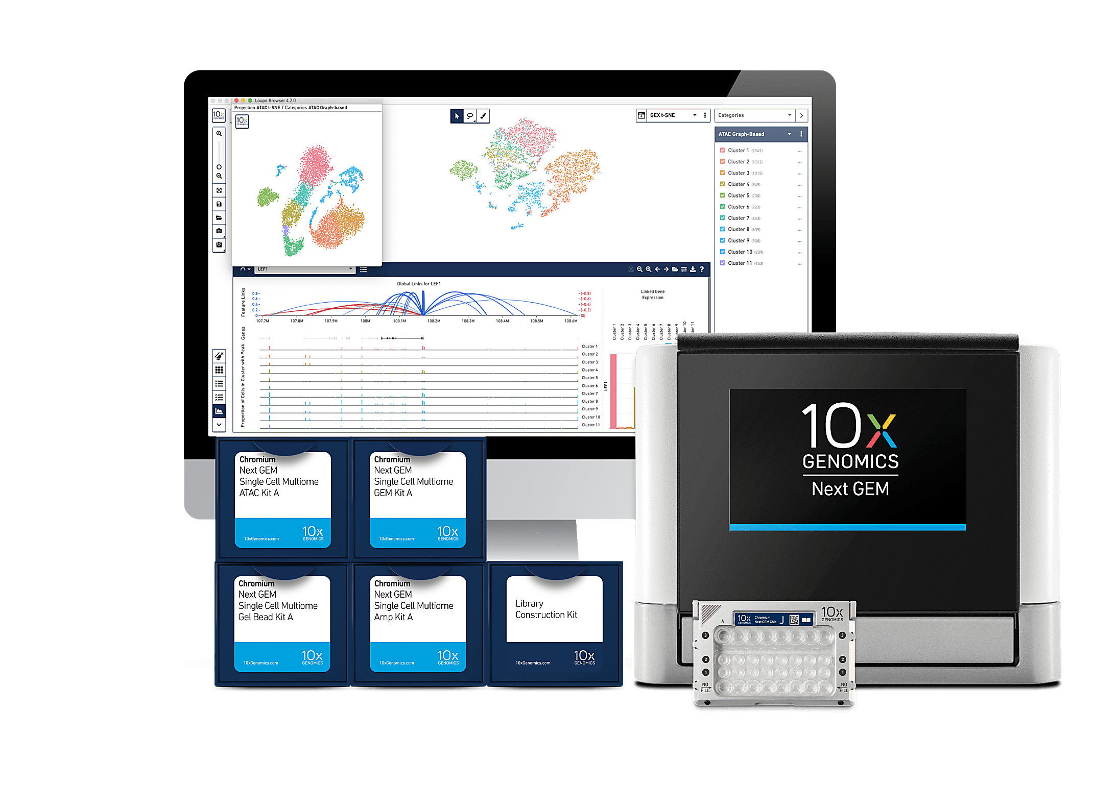 Single Cell Gene Expression