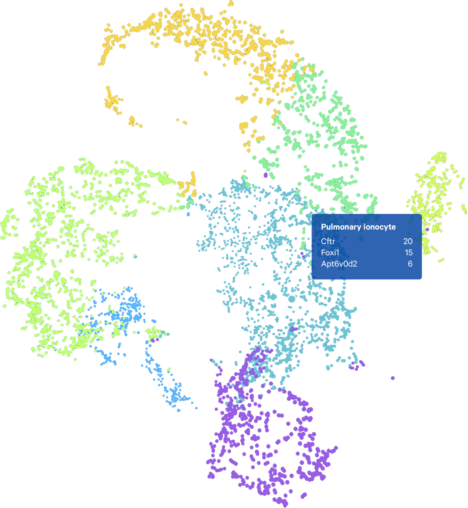 Single Cell Gene Expression
