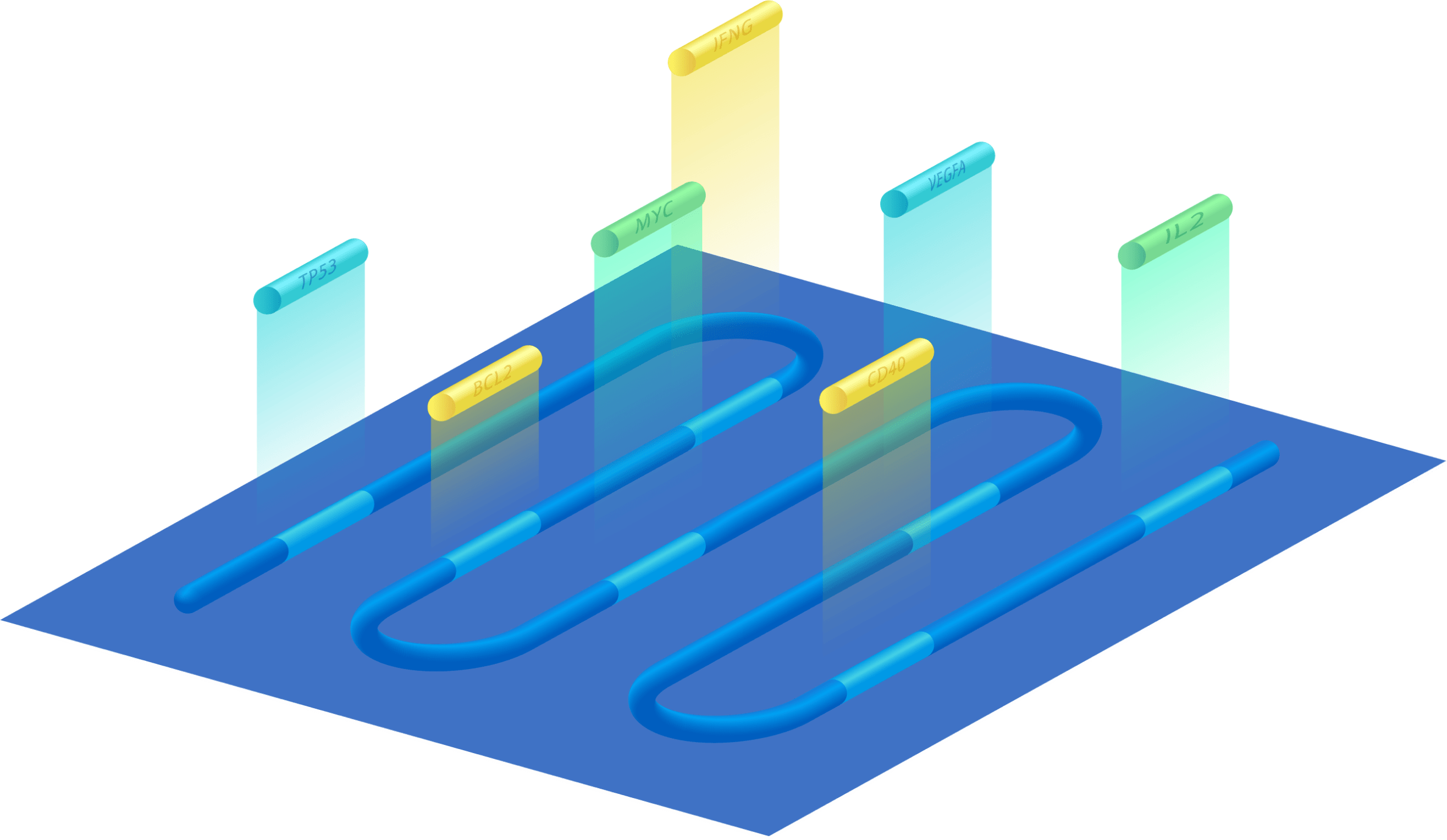 Targeted Gene Expression