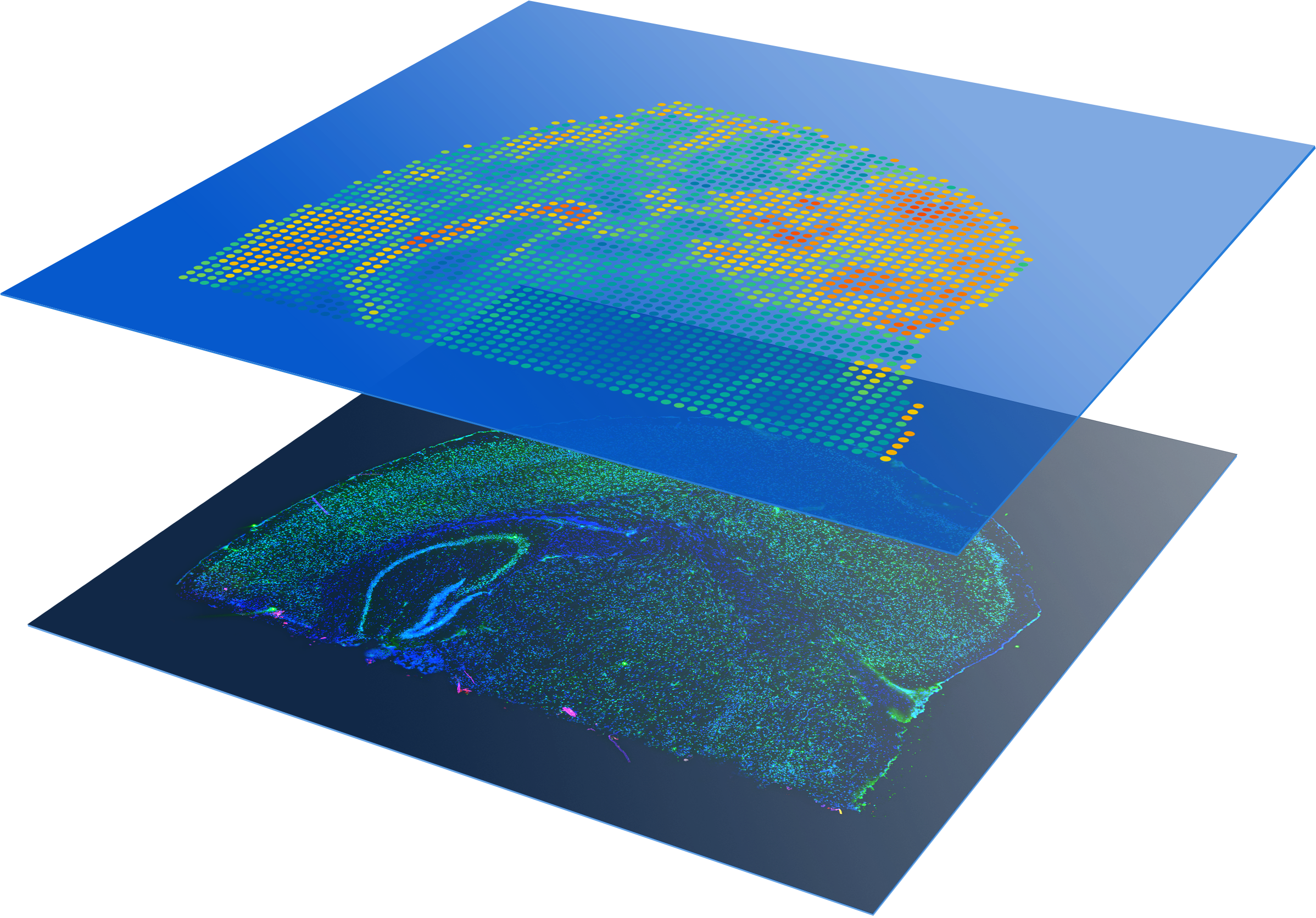 Spatial Proteomics