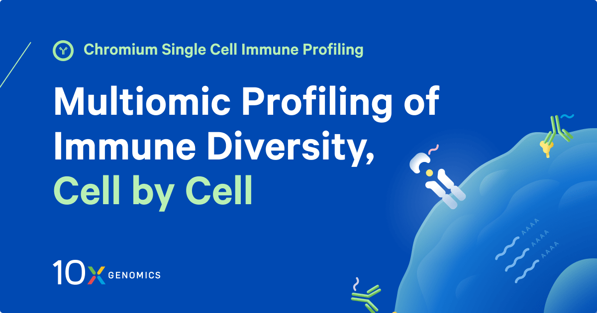 10x chromium single cell immune profiling