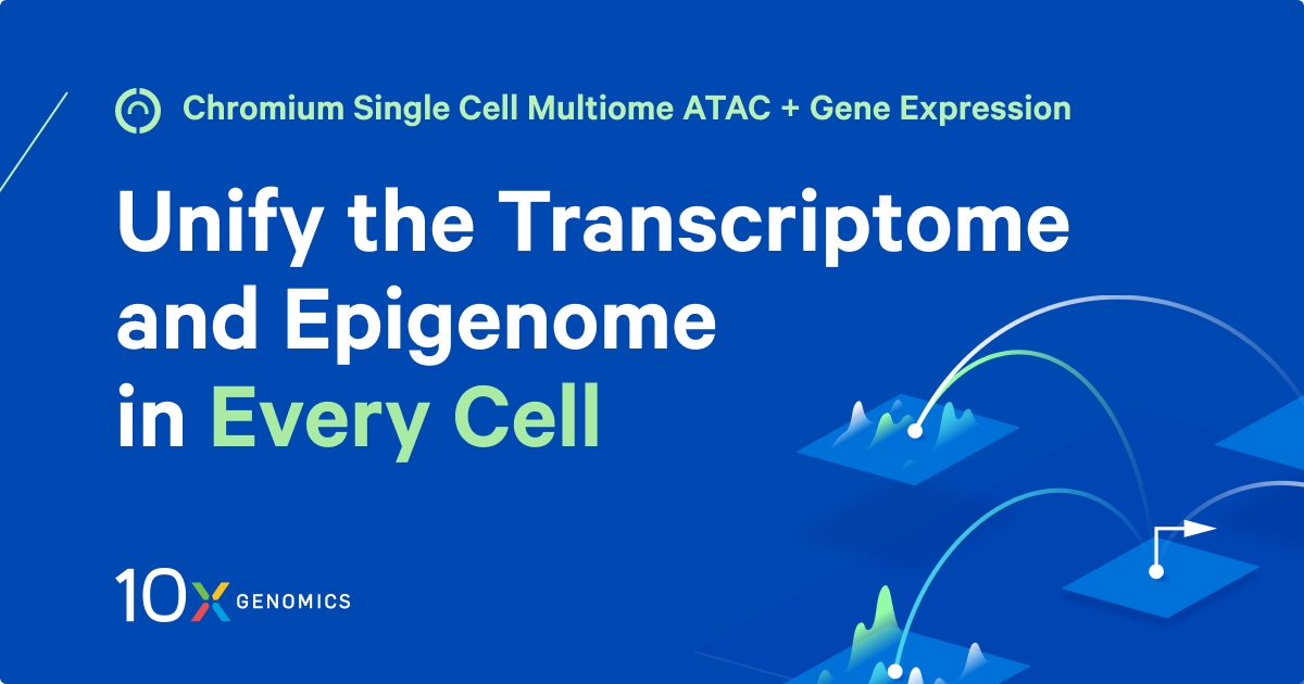 Single Cell Multiome ATAC + Gene Expression - 10x Genomics