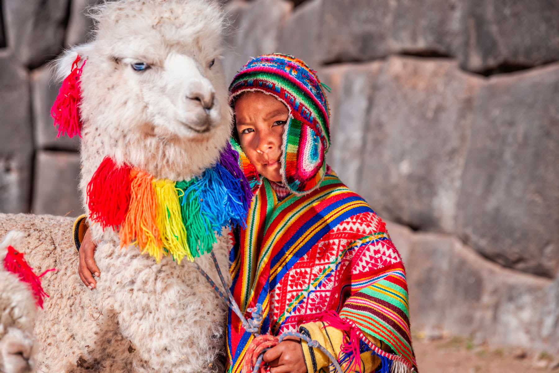 Cusco – Lima – Retorno a Casa (D) 1
