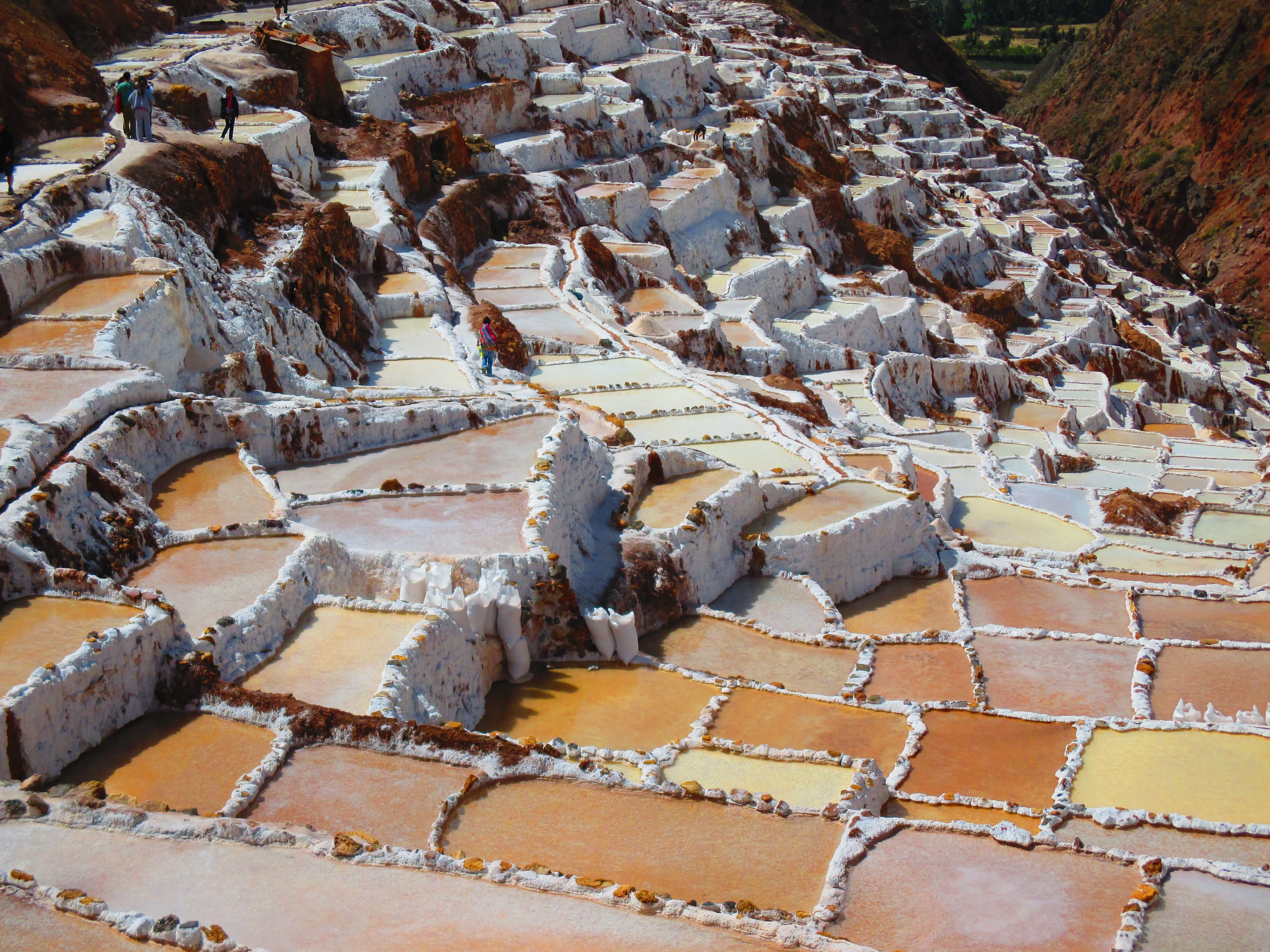 Day 5: Maras Salt Mines, Moray Terraces & Garden Lunch (B, L)