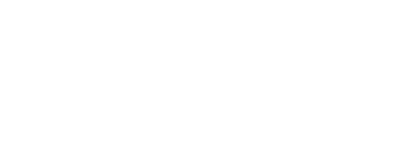 Fiesta Tours