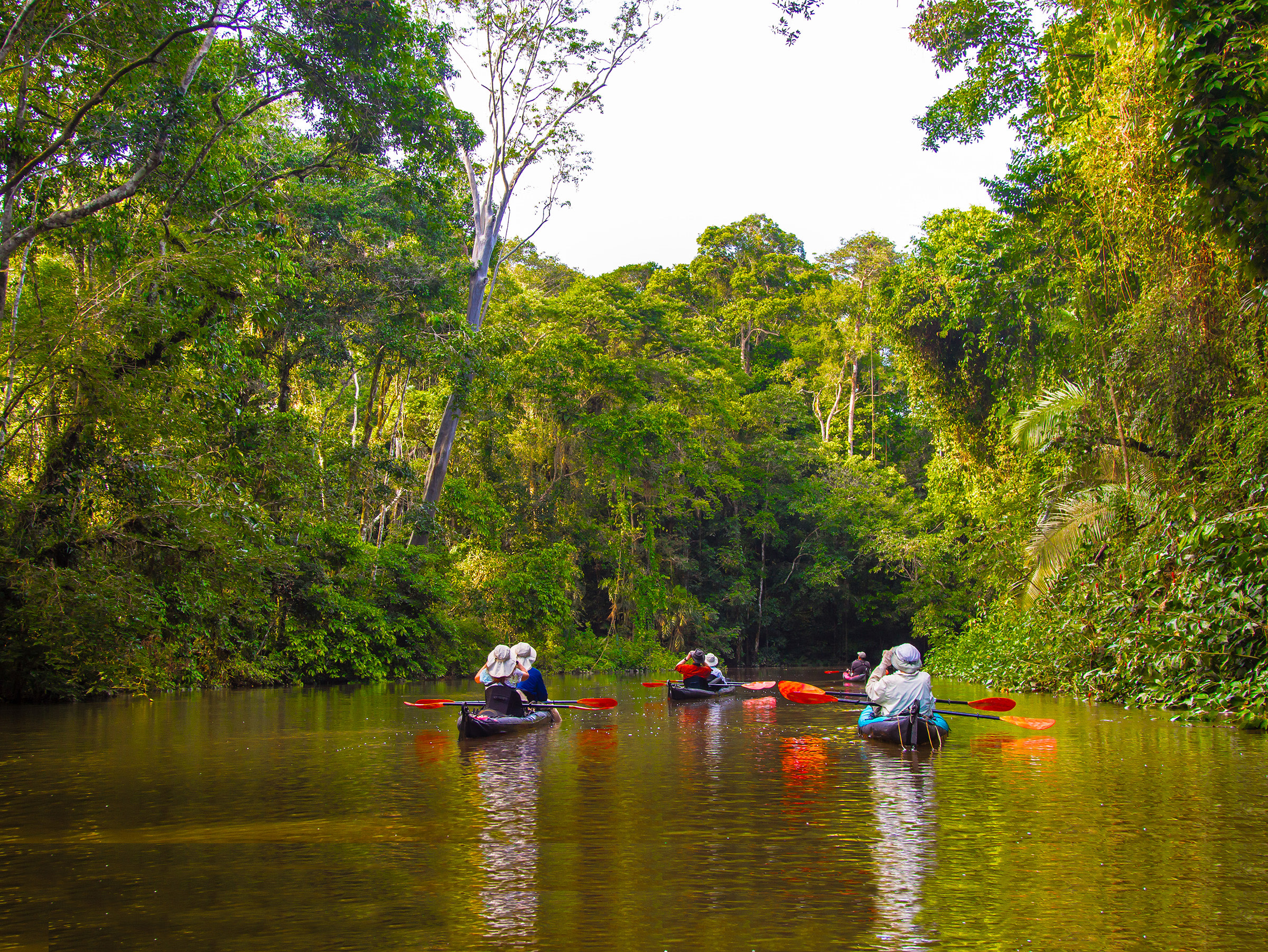 Kayaking tour of the Ecuadorian Amazon Yasuni National Park