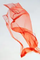 Organza Silk Saree