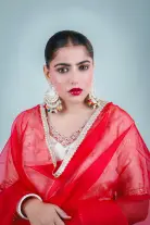 Dhakai Jamdani Saree