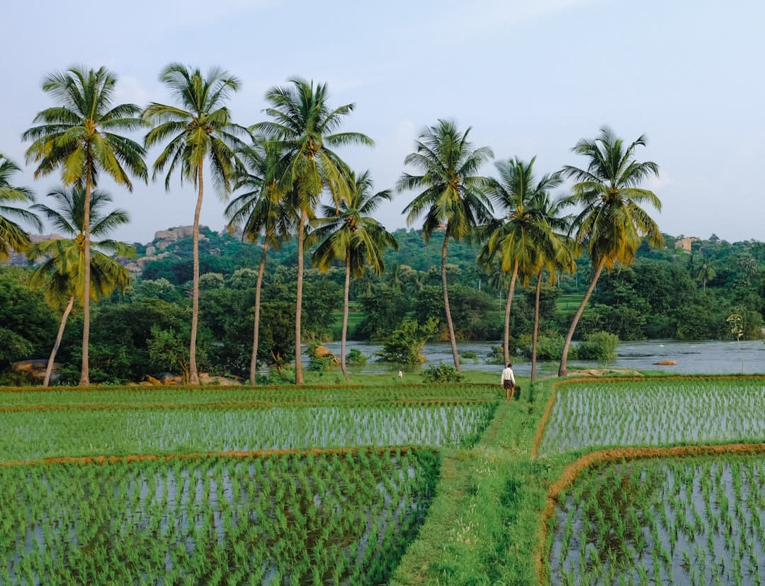 Uttar Pradesh Launches Ek Ped Maa Ke Naam Mega Plantation Campaign