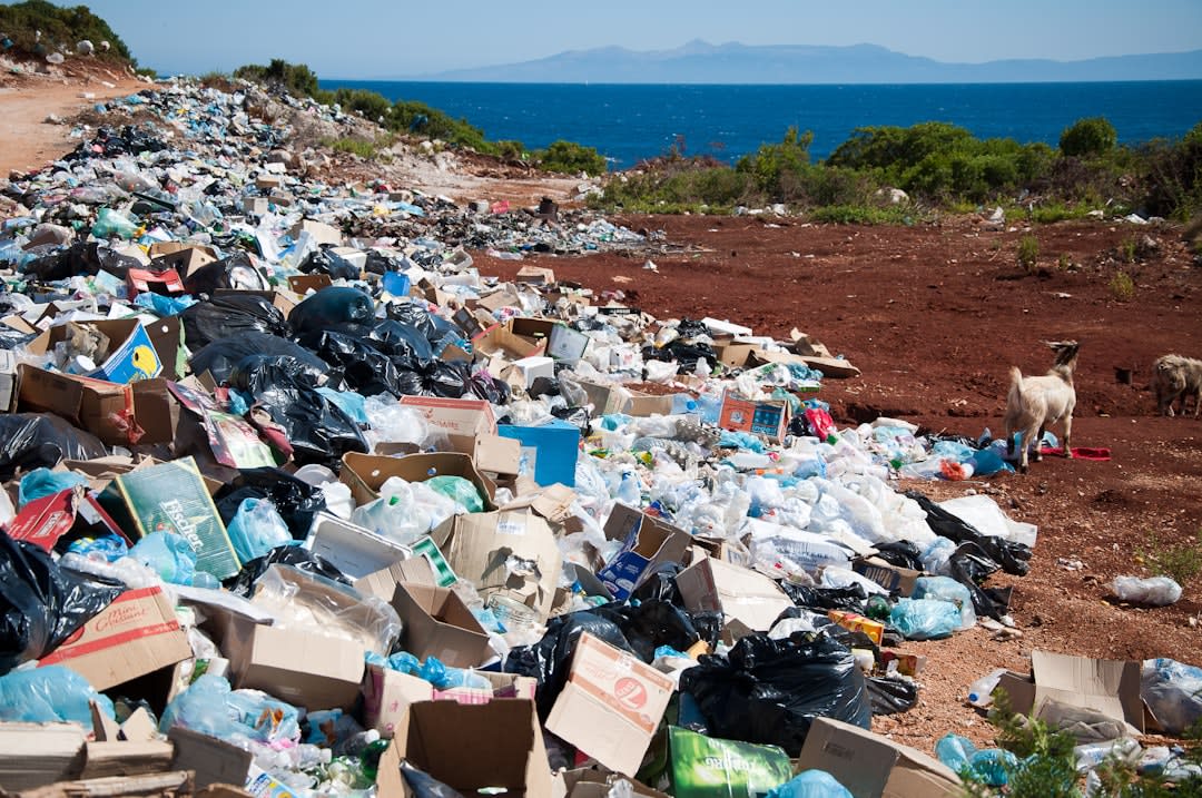 The Ground Reality: Contamination Unfolds