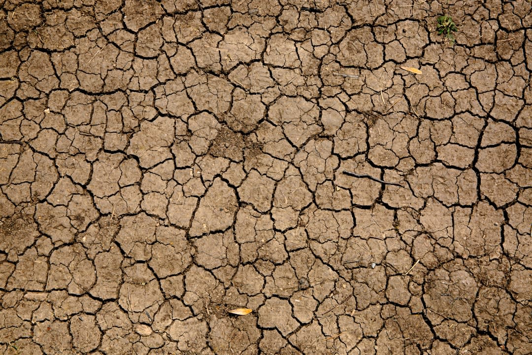 Karnataka Drought Resignation Highlights Gaps in Disaster Preparedness